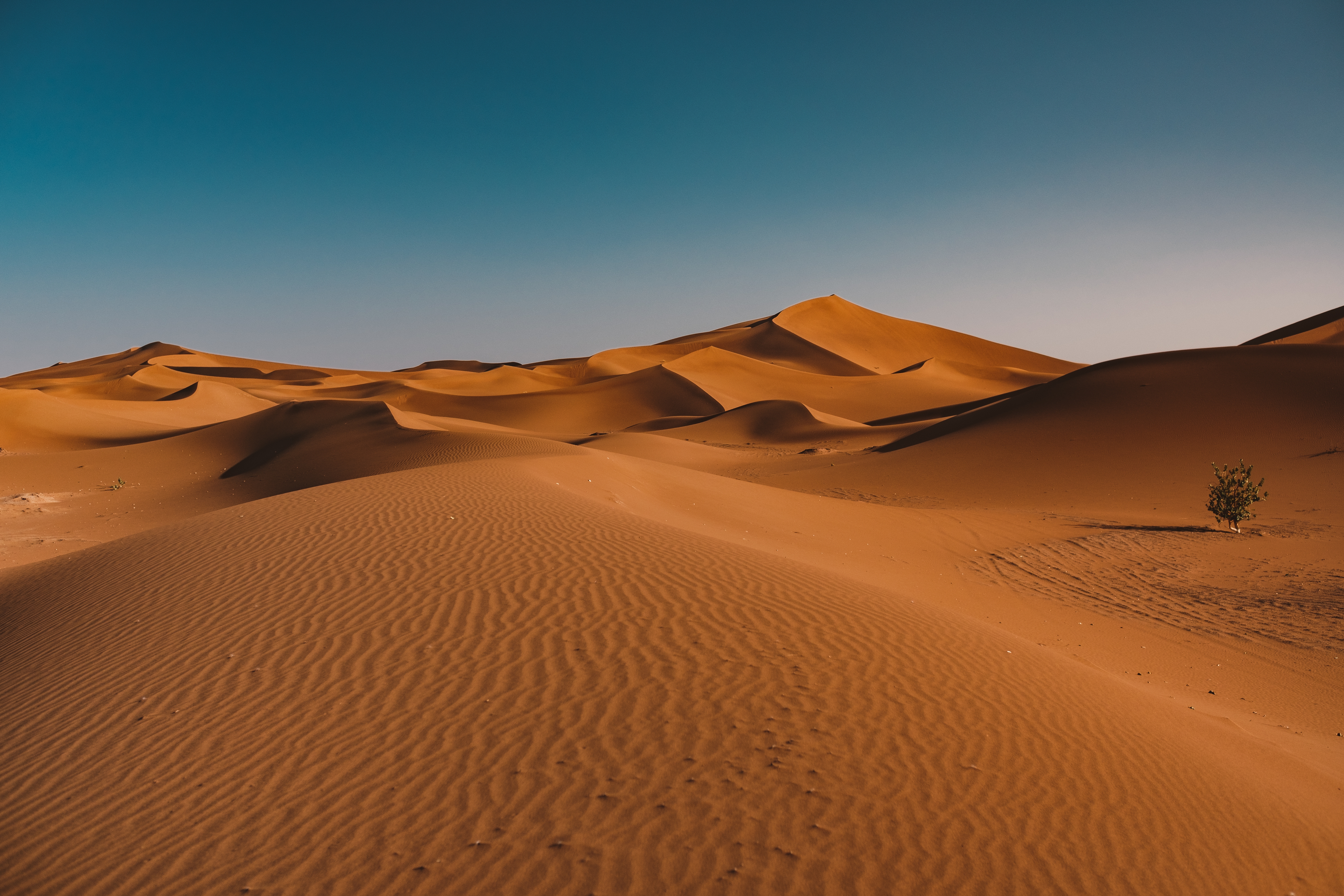 Sam Sand Dunes
